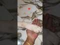 😍💖cuteshortsvideo #oreo #youtubevideo #lovesong #trendingsong #mahivesong #shortsfeed # viralvideo
