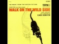 Miniature de la vidéo de la chanson Walk On The Wild Side