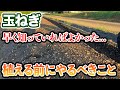 【玉ねぎ】植える前にコレ絶対やってください。めちゃくちゃ楽になります
