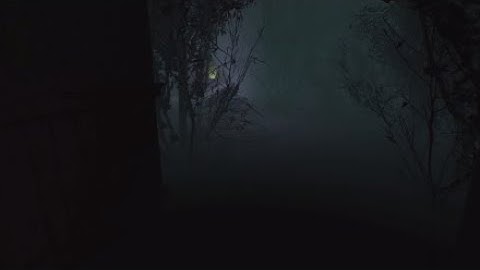 This part scared the shit out of me (Layers of Fear 2)