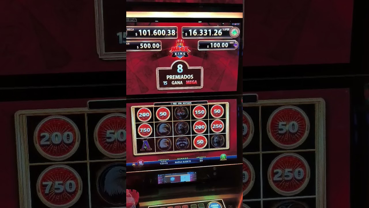 mr spin casino login MEGA KING nosiempresegana nosiempresepierde slots bonus 4k casino bigwin