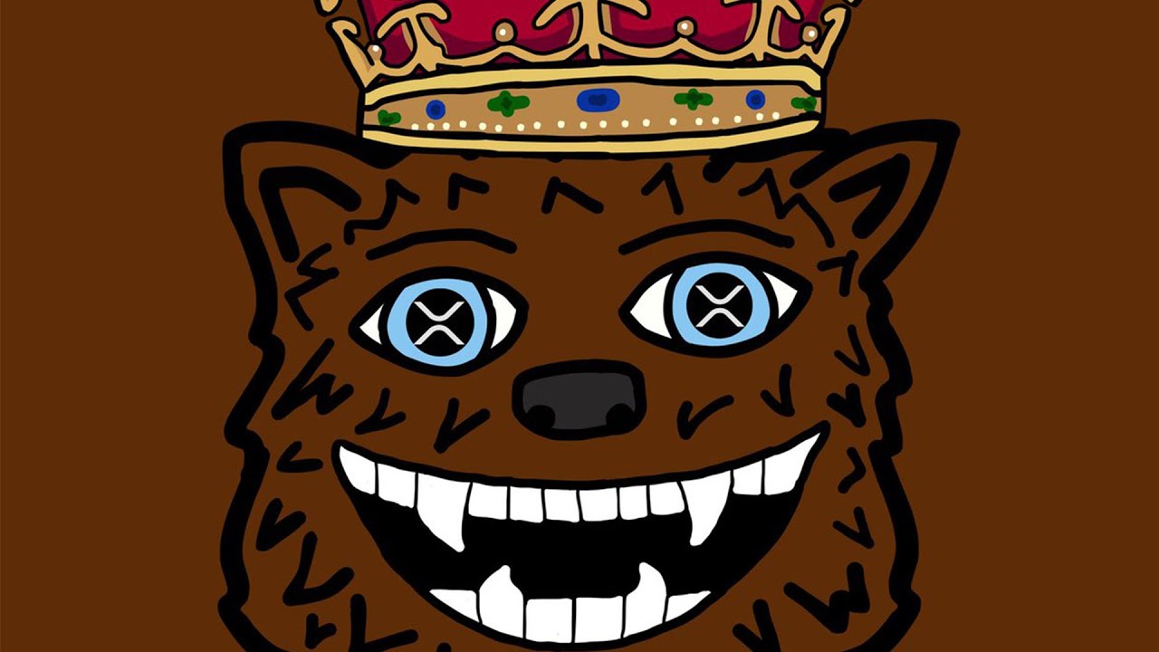 XRP BEARABLEGUY123 TODAY !!!!! - YouTube