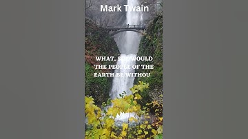 The Surprising Truth Behind Mark Twain