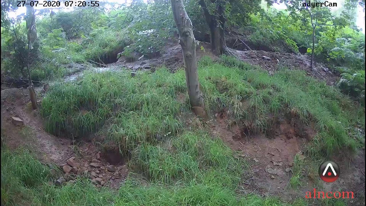 BadgerCam, powered by Alncom