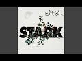 Miniature de la vidéo de la chanson Stark [Pete Clark Remix]