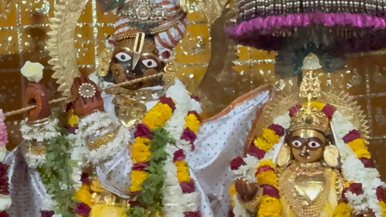 Shri Govind Dev Ji ki dhoop aarti श्री गोविन्द देव जी की धूप आरती #01_february_2026 #sunday #purnima