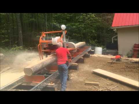 20 ft poplar tree on the Norwood saw mill