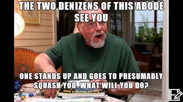 DnD Fun with Wild Shape - Spider Form