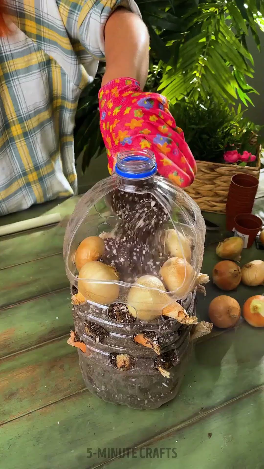 Plastic bottle onion mini Garden
