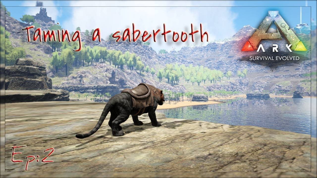 Taming a Sabertooth! - Ark Survival Evolved #2