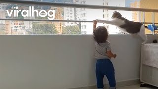 Cat Keeps Little Human Safe || ViralHog