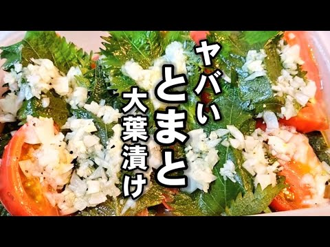 正直、これは世界一旨いトマトのつくおき【やみつきトマト大葉漬け】簡単作り置き常備菜