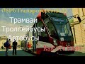 #SPbTransportFest 2022. Лучшее мероприятие для транспортных фанатов!