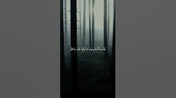 تلاوه هادئه ومريحه للقلب ✨💙 | الشيخ محمد صديق المنشاوي 🥀💛