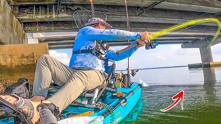 GIANT SHEEPSHEAD were Everywhere - HOTTEST BITE I'...