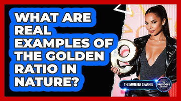 What Are Real Examples Of The Golden Ratio In Nature?