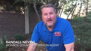 Wednesday Wisdom: Randall Nevins