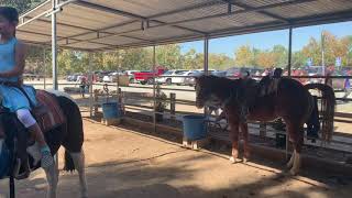 Irvine Park - Pony Ride