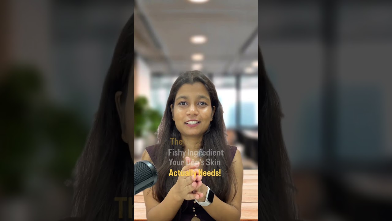 How Fish Oil Transforms Dog’s Coat & Skin 