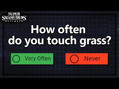 I asked Smash Players THESE Questions…Here’s Their Answers