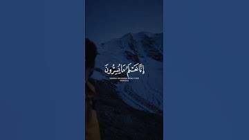 فلا يحزنك قولهم 🤍 | القارئ أحمد خضر | قرآن كريم