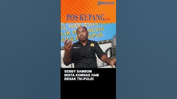 Sebby Sambom Minta Komnas HAM Desak TNI-POLRI Hentikan Operasi Militer