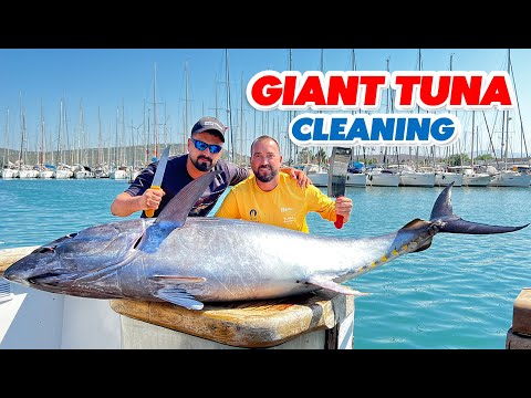 Dev Balığı Temizleyip Parçalara Ayırdık / Rahatlatıcı Video ( Giant Tuna Cleaning )