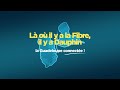 L o il y a la fibre il y a dauphin telecom business 