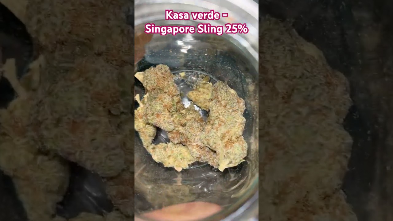 Singapore Sling by Kasa Verde UK MEDICAL 👎🥴 Avoid 