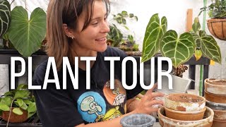 A tour of my plants by Harli G 12,041 views 5 days ago 35 minutes