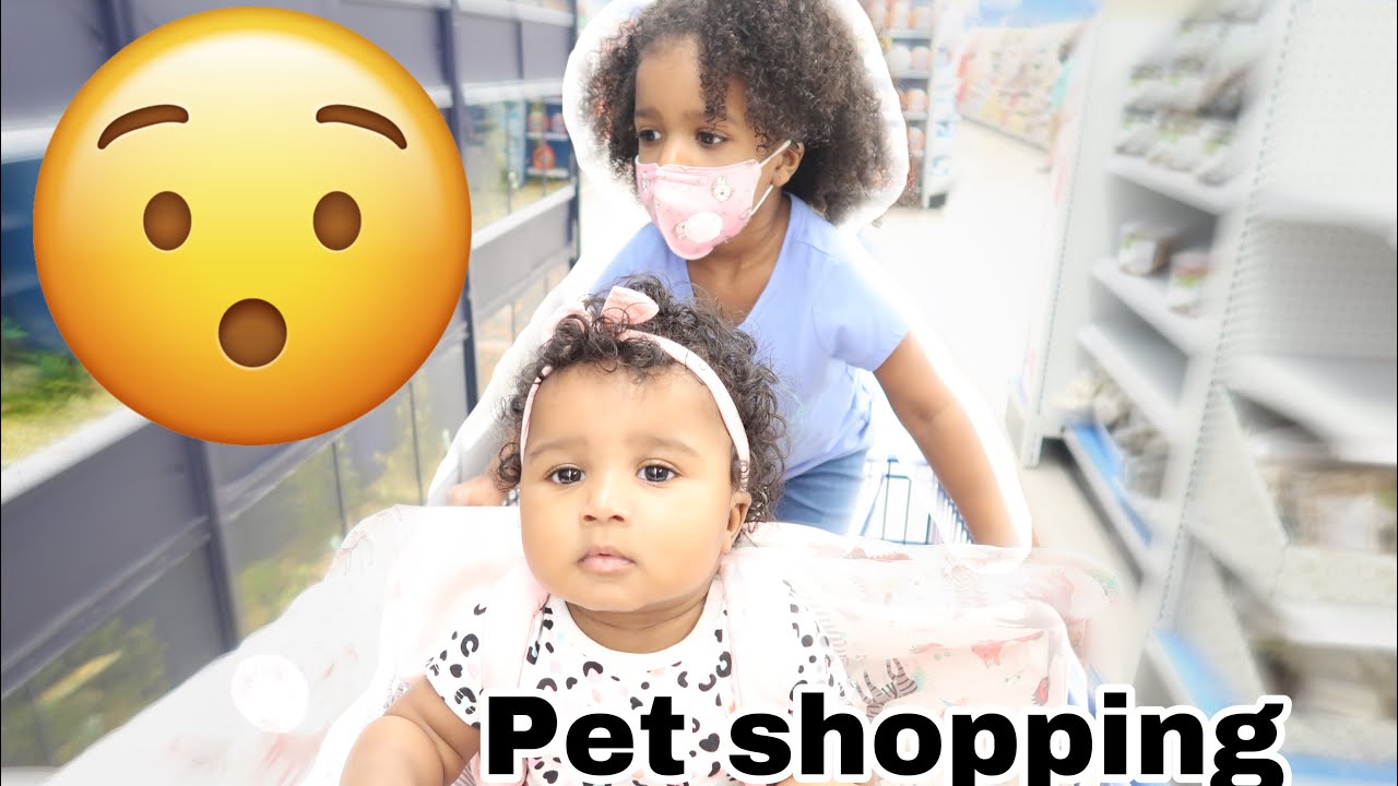 Our First Pet as a Family of 4 ✨ Emotional & Chaotic!