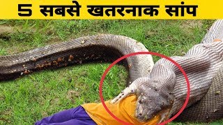 दुनिया के 5 सबसे जहरीले सांप ।। Top 5 venomous snake in the world