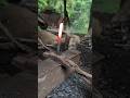 black Smith work short video #viral