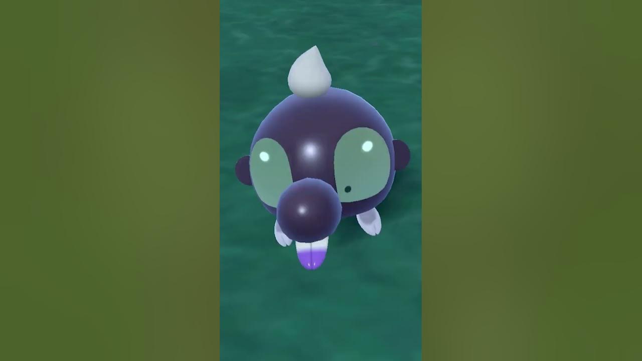Pokemon Scarlet Mirror Herb location & how to use shorts 