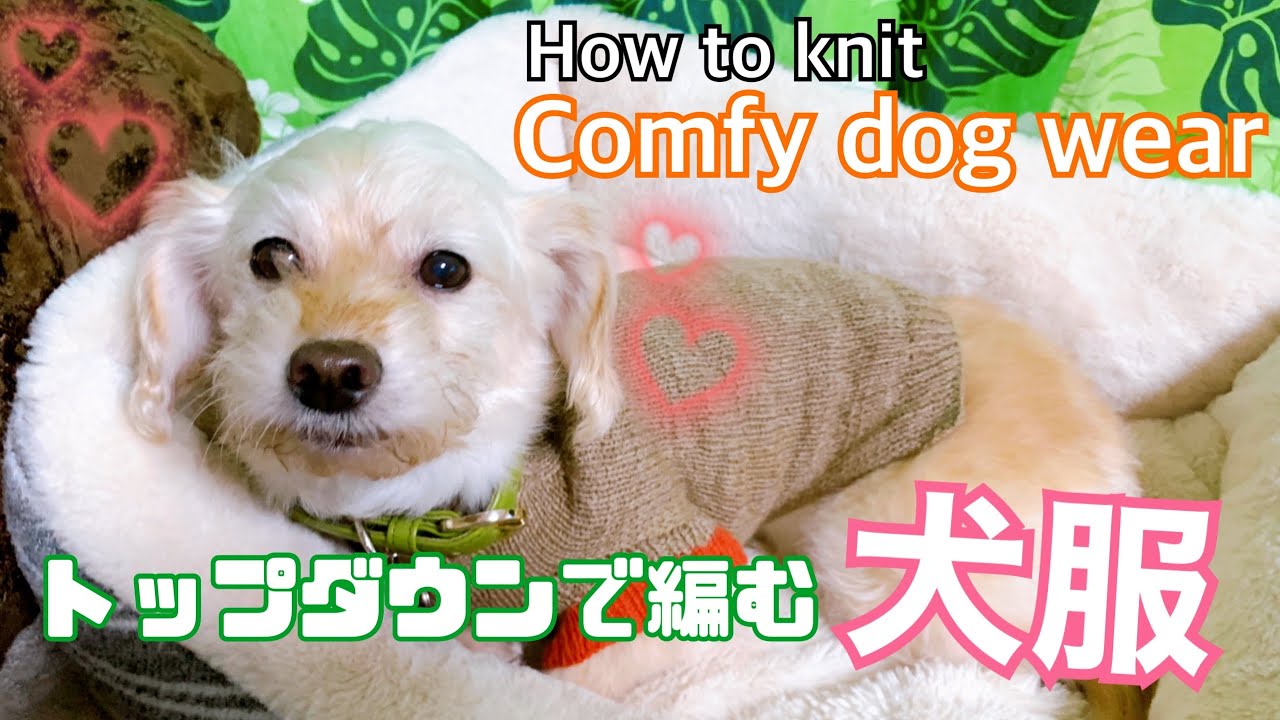 Knitting Needles] Comfy Dog Wear - Top-Down Knitted Dog Clothes