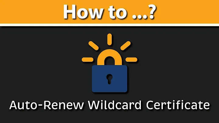 How to Setup Auto-Renew for Letsencrypt WILDCARD Certificate with DNS challenge? acme-dns | certbot