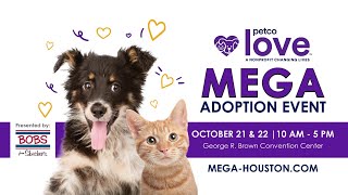 Mega adoption event happening in Houston