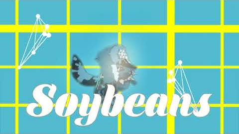 Intro CE for SoyBeans (#soysfirstcon) ヽ(‘ ∇‘ )ノ (ﾉ◕ヮ◕)ﾉ*:･ﾟ✧