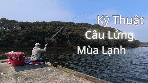 Kỹ Thuật Câu Lửng Mùa Lạnh Chuẩn Nhật Bản l Biến Thể Câu Lửng U Đông Set
