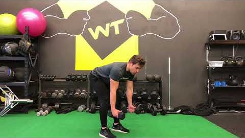 Pronated Bent Over Dumbbell Row