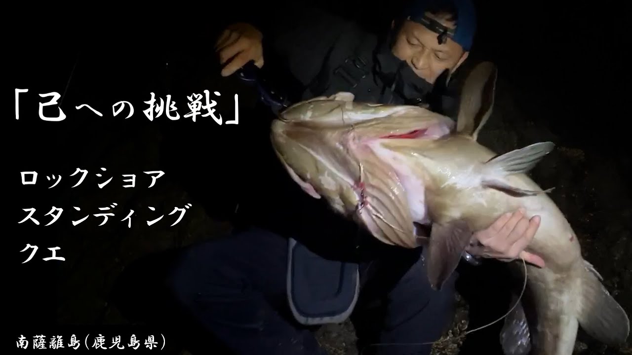 【ロックショア スタンディング クエ】青物用スピニングリールで荒磯のクエとスタンディングファイト　朝マズメのアラ（クエ、モロコ）釣り