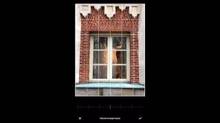 Обзор приложения VSCO для обработки фотографий screenshot 5