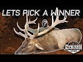 LET’S PICK A WINNER | THE ULTIMATE NEW MEXICO ELK HUNT EXPERIENCE!