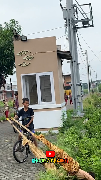 JANGKUNGAN BERJATUHAN Hampir Nyemplung ❗️ Parade Jangkungan Blok Sanur Desa Megu Cilik ❗️