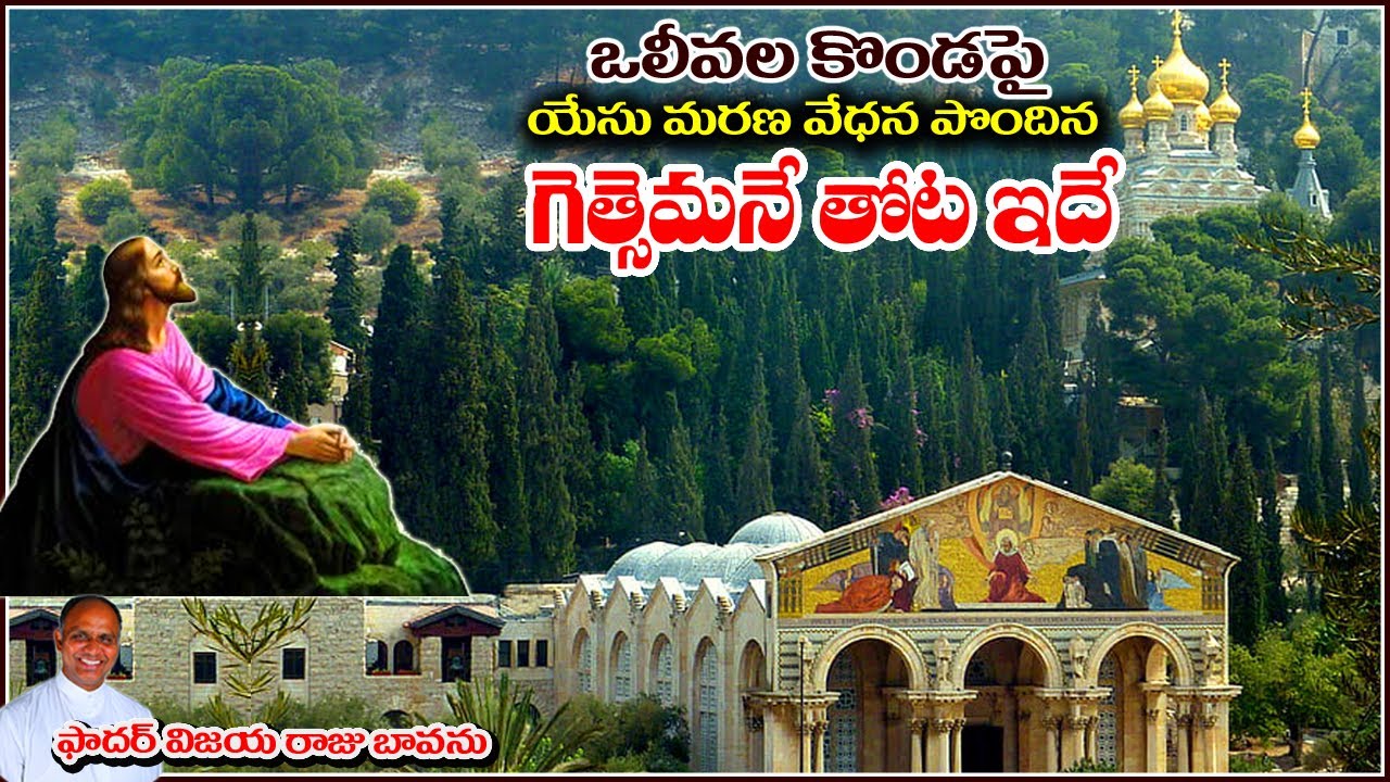 గేత్సెమనే తోట ఇదే / ఒలివు కొండ ఇదే / Mount Olives / Garden Gethsemane / Gethsemane /Holy Land Israel