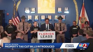 Florida lawmakers to consider property tax elimination proposal in special session