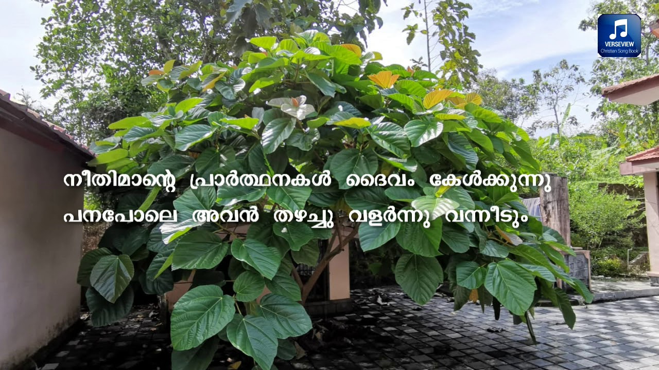 Neethimante prarthanakal daivam I നീതിമാന്റെ പ്രാർത്ഥനകൾ ദൈവം കേൾക്കുന്നു