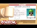 Visit Http Www Roblox Com Drivers