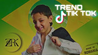 Made In Romania 'Brazilian Funk Remix' (Trend Tik Tok)