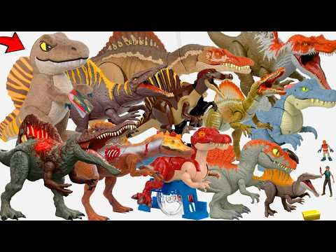 All Spinosaurus Carnivorous Dinosaurs From Small To Large With Many Designs Colors And Ways To Pl...